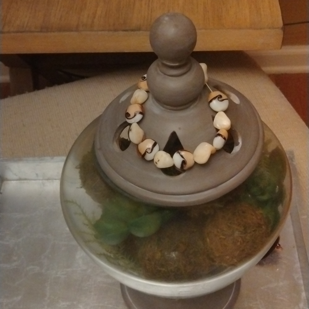 Freshwater Tortoise Pearl Shell Bracelet